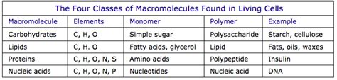 List The 4 Macromolecules