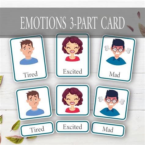 Emotion Flashcards Feelings Flash Cards Montessori Materials