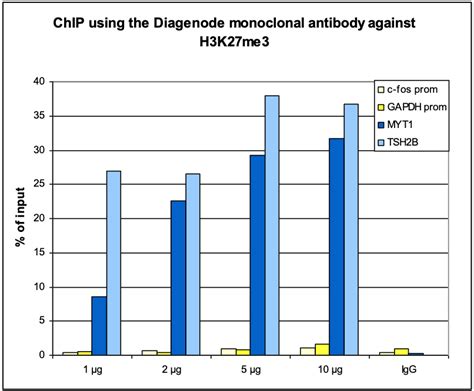 H3K27me3 monoclonal antibody - Classic