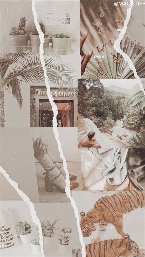 Nude Aesthetic Collage Wallpaper Brown Screensaver Color Wallpaper Iphone Waves