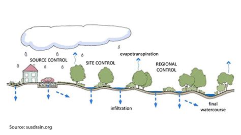 Harmony In The Concrete Jungle The Principles Of SuDS GreenBlue Urban