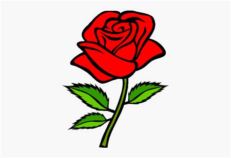 Red Rose Drawing Easy , Free Transparent Clipart - ClipartKey