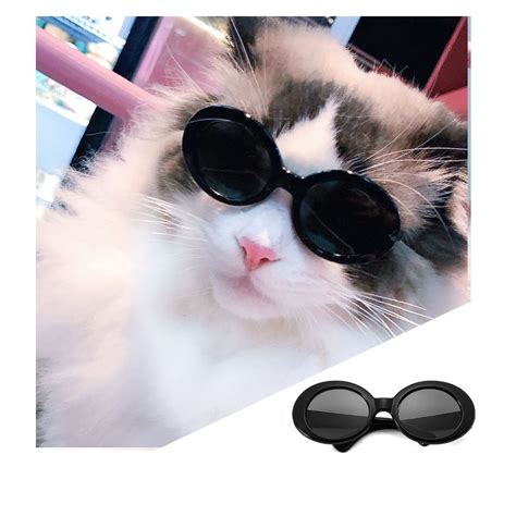 Gatos Aesthetic Con Lentes Atelier Yuwa Ciao Jp