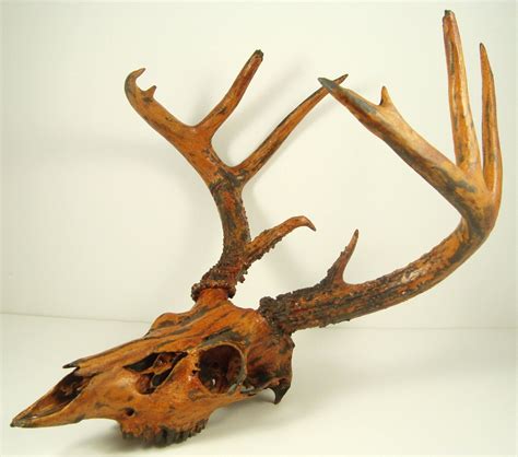 Deer Skull Taxidermy Painted Antlers Black Iron Rust