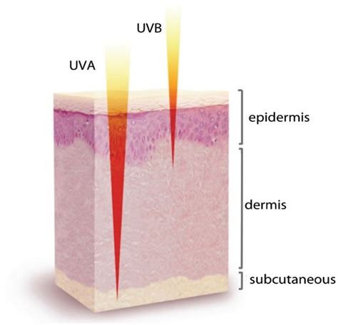 7 Manfaat Melanin Bagi Kulit Melindungi Dari Sinar Uv