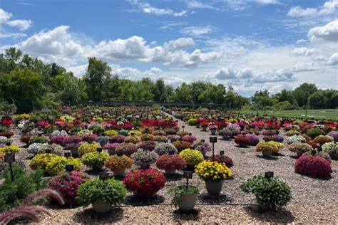 Top Four Favs From Each Michigan Garden Plant Tour Site