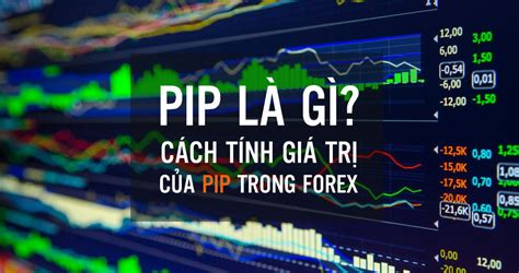 Pip L G C Ch T Nh Gi Tr C A Pip Trong Forex