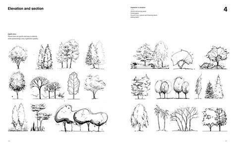 Drawing For Landscape Architects Construction And Design Manual Tree