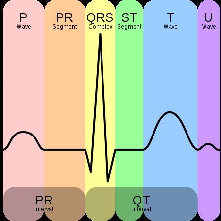 Electrocardiogram Ecg Wave Features And Intervals Defined For Pqrst