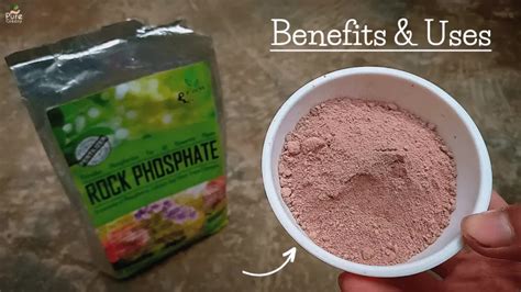 Rock Phosphate - 10 Magical Benefits Of Rock Phosphate Fertilizer