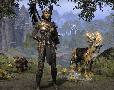 Show off your High Elves! — Elder Scrolls Online