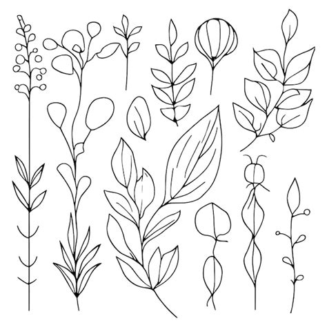 Premium Vector A Set Of Doodle Flowers And Leaves Botanical