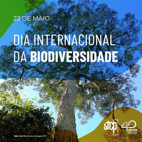 DIA INTERNACIONAL DA BIODIVERSIDADE STCP