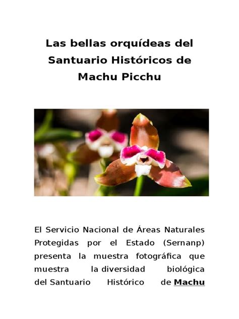 PDF Las Bellas Orquídeas Del Santuario Históricos de Machu Picchu