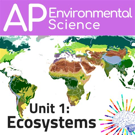 Ap Environmental Science Apes Unit Review Ecosystems