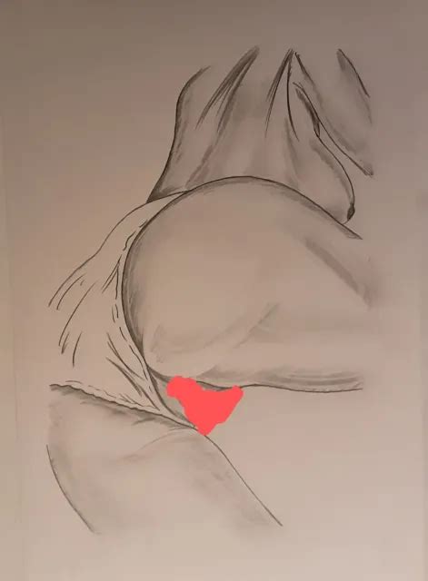 All New Anythingartwork Nude Art Original Pencil Sketch Drawing A