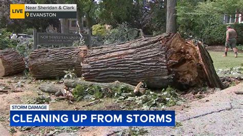 Chicago Weather Strong Storms Topple Trees Knock Out Power For