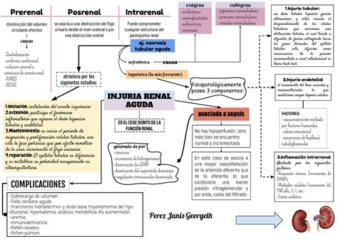 Fisiologia Renal Mapa Esquemas Y Mapas Conceptuales De Kulturaupice