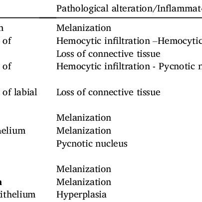 Summary Of Inflammatory And Pathological Alterations In Tissues Of A