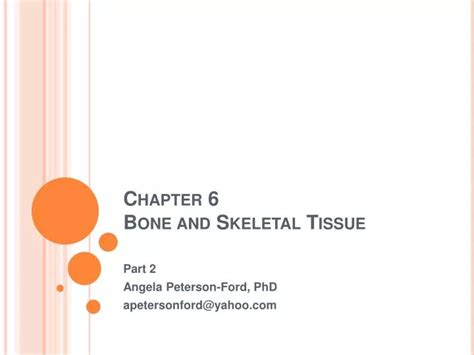 PPT Chapter 6 Bone And Skeletal Tissue PowerPoint Presentation Free