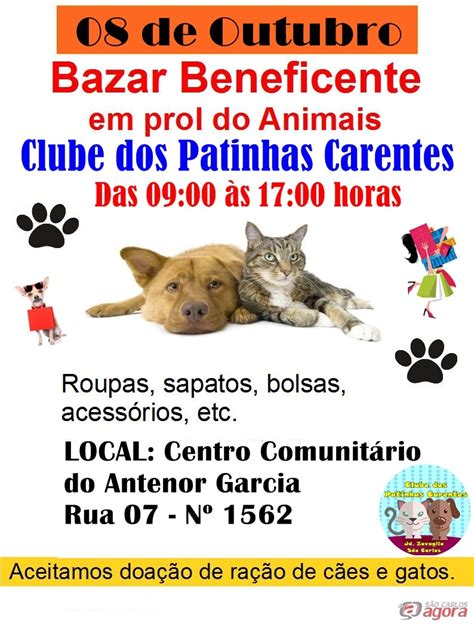 Patinhas Carentes Promove Bazar Beneficente Em Prol Dos Animais