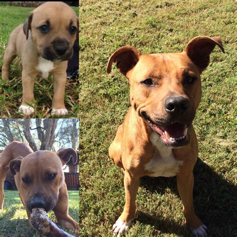 open_tomato_sauce (u/open_tomato_sauce) - Reddit