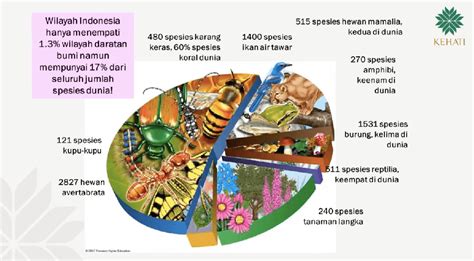 Keanekaragaman Hayati Di Indonesia Anugerah Yang Perlu Kita Jaga