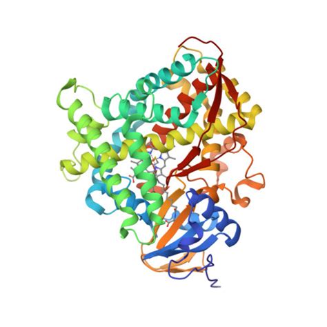 RCSB PDB 3CBD Directed Evolution Of Cytochrome P450 BM3 To Octane