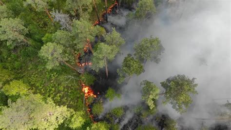 Incendi Devastanti In Amazzonia Lallarme Dei Satelliti Nasa Scienze