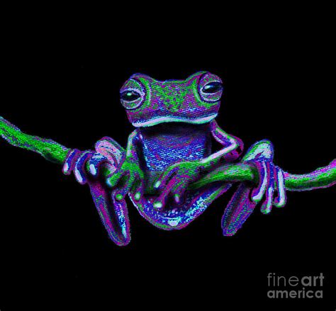 Purple Tree Frogs