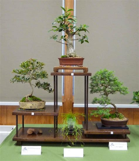 Abs Bonsai Learning Seminar Artofit