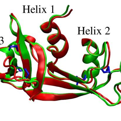 Structure of Rnase with 124 amino acids as cartoon image showing main... | Download Scientific ...