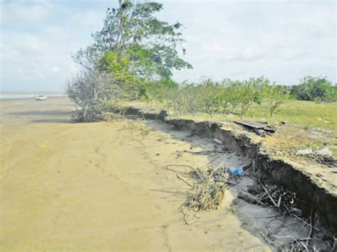 Erosion at No 63 Beach threatens residents - Guyana Times