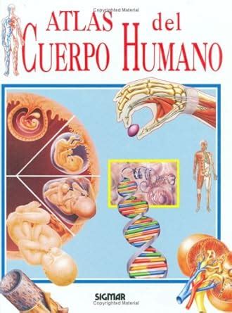 Atlas Del Cuerpo Humano The Body Atlas Atlas Del Saber Atlas Of