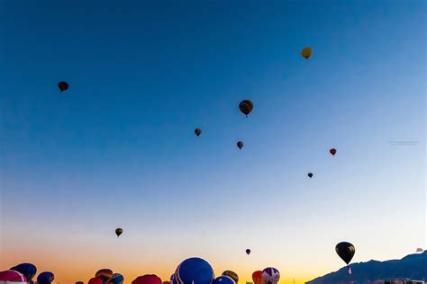 Hot Air Balloons Lifting Off From Balloon Fiesta Park In Predawn Light