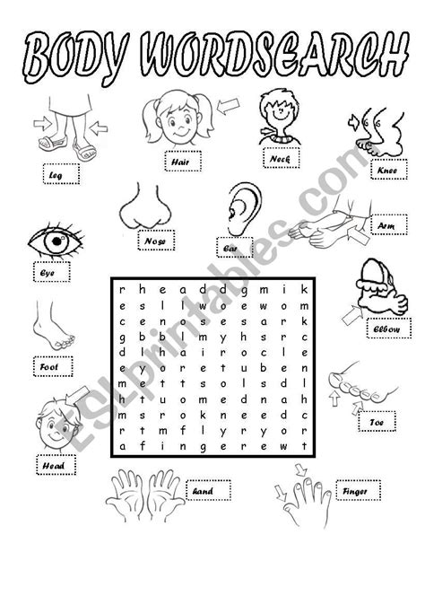 BODY WORDSEARCH ESL Worksheet By Maalpo