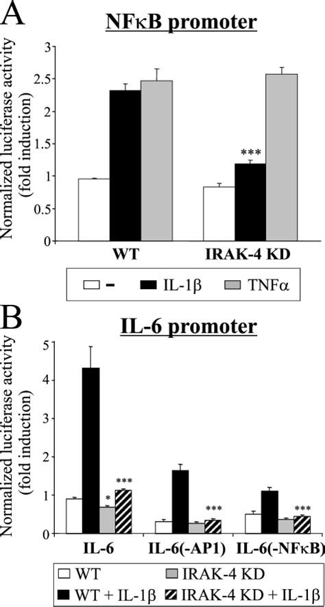 Effect Of Irak Kinase Deficiency On Nfb And Ap Regulated Promoters