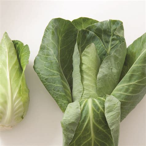 Caraflex F1 Cabbage Seed Aeseeds