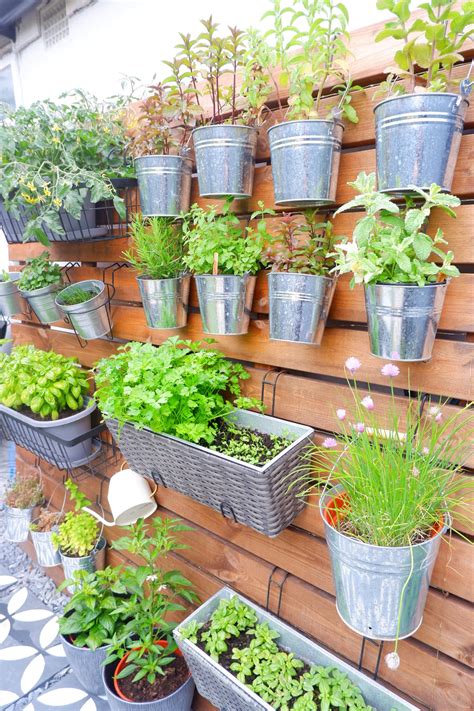 Diy Garden Herb Wall That S So Gemma