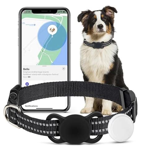 Top 10 Best Pet Tracker For Dogs Reviews And Buying Guide Katynel