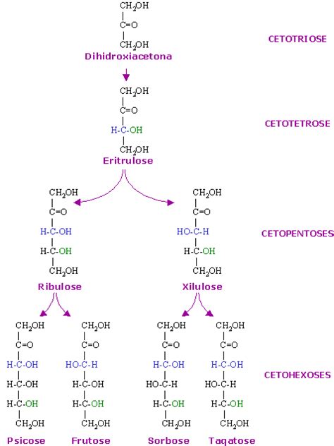 Aldoses E Cetoses