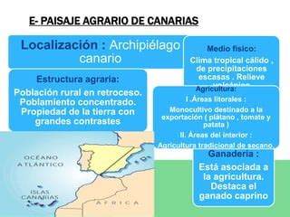 Dominios Y Paisajes Agrarios En Espa A Ppt