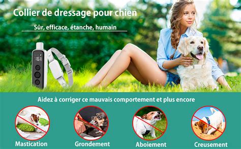 Bousnic Collier De Dressage Pour Chien Kg M Tanche