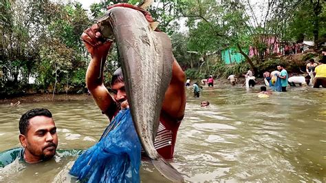 Fishing Video Asian Country Big Festival Boal Fish Catching