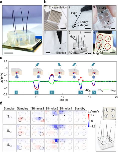 磁敏电子皮肤首次预测并感知来自不同方向的3D触摸 知乎