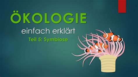 Symbiose Kologie Einfach Erkl Rt Youtube