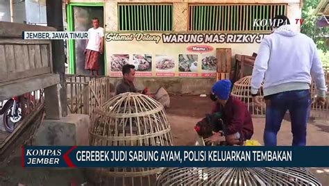 Polisi Keluarkan Tembakan Saat Gerebek Judi Sabung Ayam Di Tengah Pasar