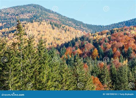 Autumn Carpathians Ukraine Stock Photo Image Of Tree View 108709018