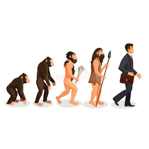 Human Evolution Stages and Man Progression Stages Stock Vector - Illustration of development ...