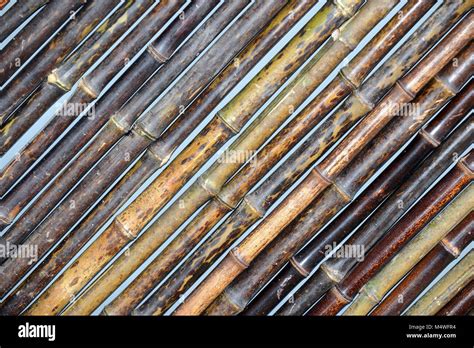 Korean Rods Hi Res Stock Photography And Images Alamy